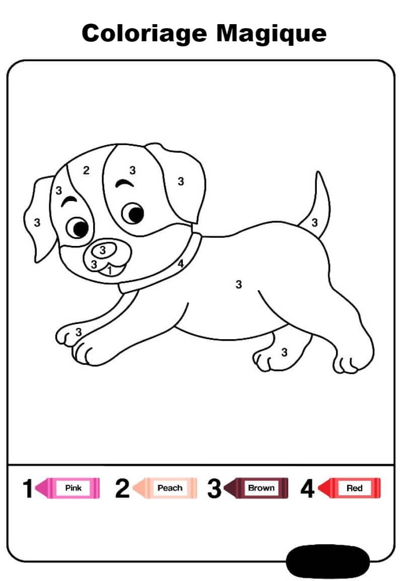 Coloriage Magique Chien