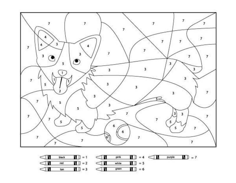 Chiot avec un long corps coloriage magique