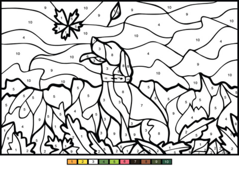 Chiot avec une feuille d'érable coloriage magique