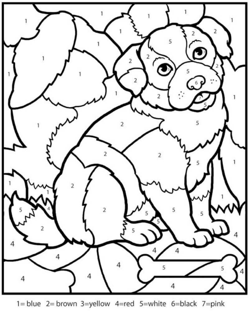Le chiot et l'os coloriage magique
