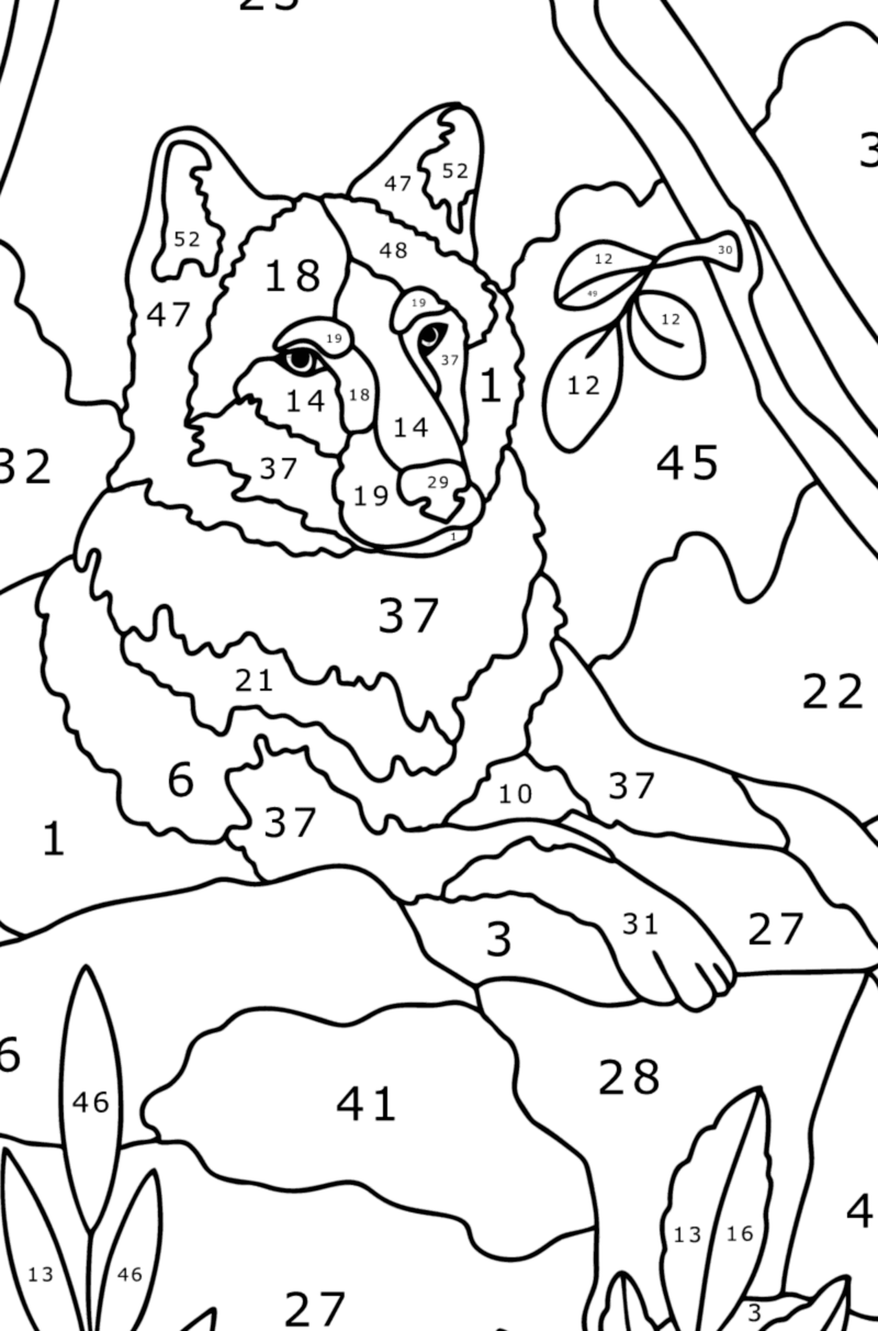 Le loup est assis coloriage magique