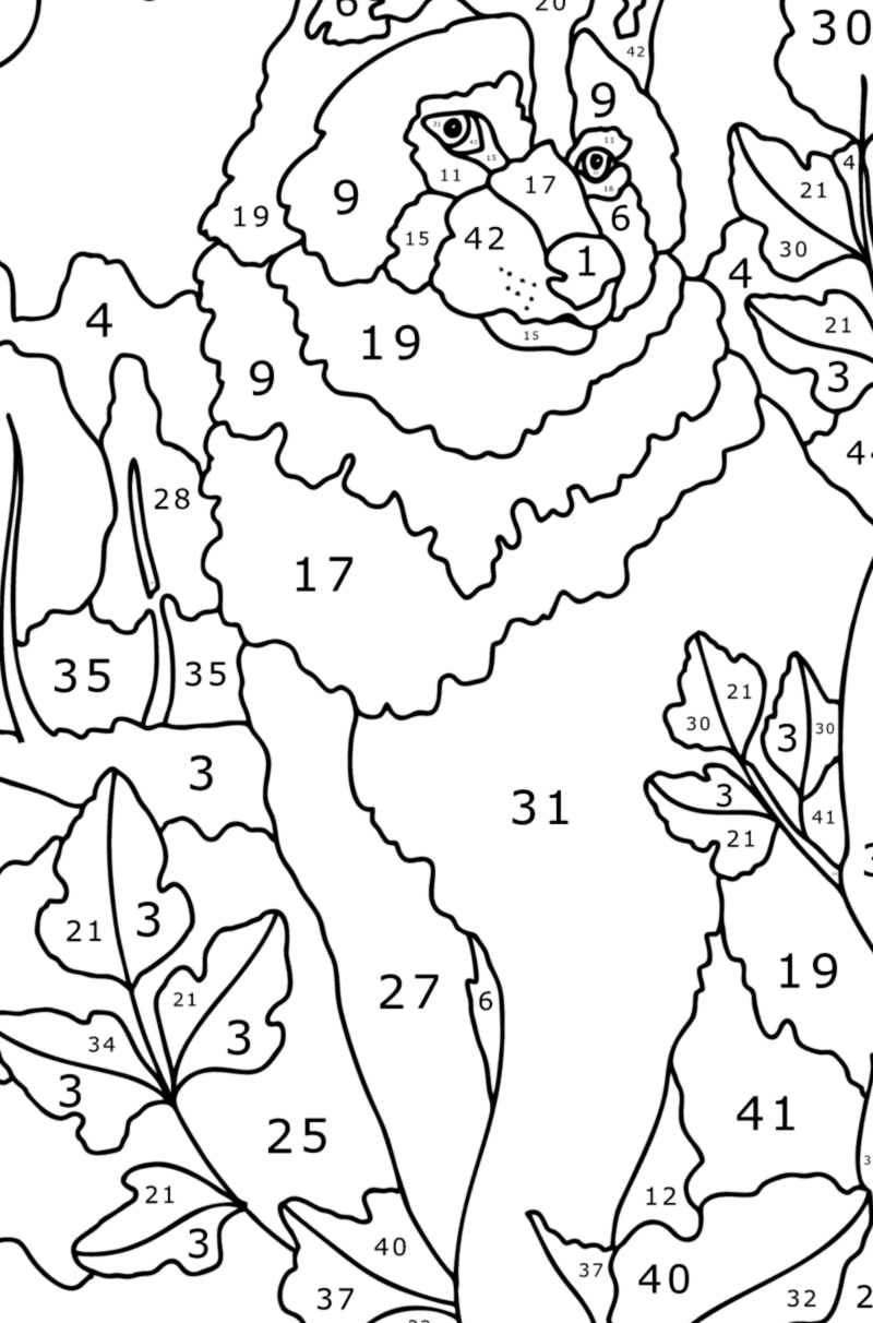 Loup solitaire coloriage magique