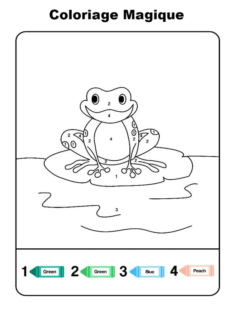 Coloriage Magique Grenouille