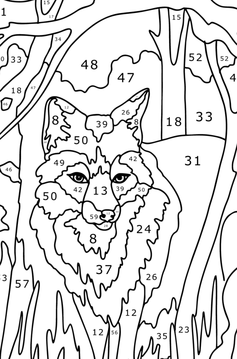 Vieux loup dans la forêt coloriage magique