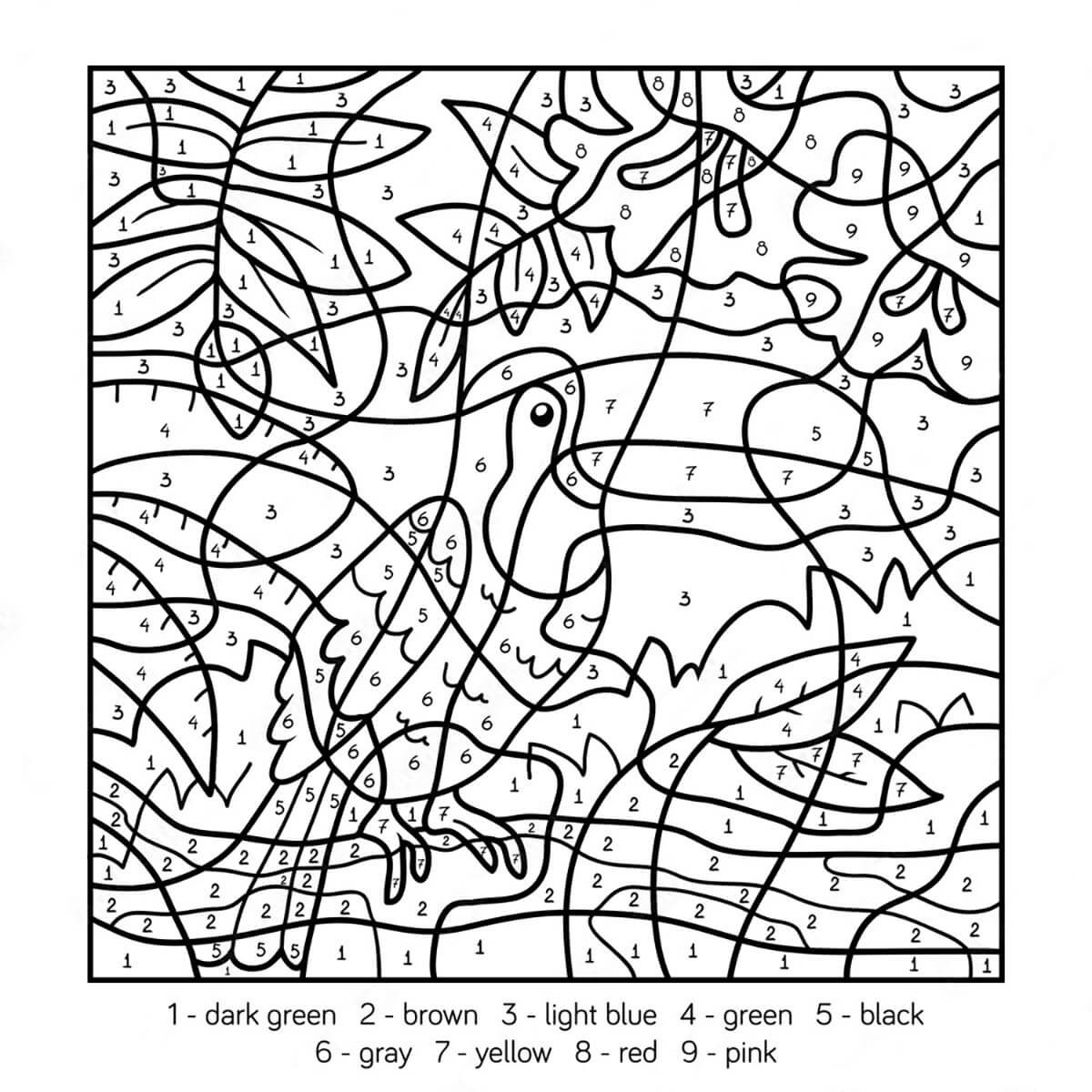 Dur Toucan Coloriage Magique