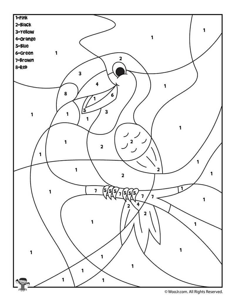 Gratuit Toucan Coloriage Magique