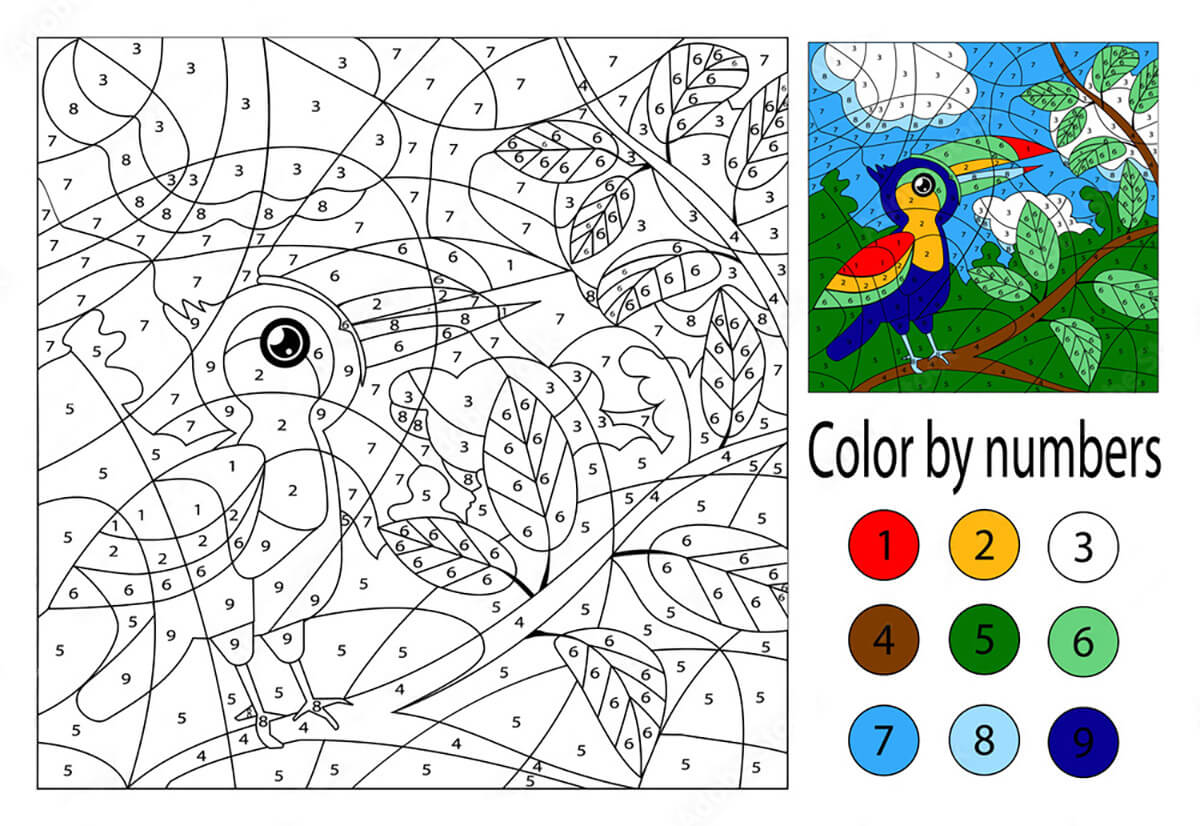 Imprimable Toucan Coloriage Magique
