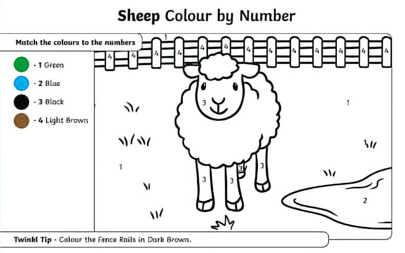 Mouton coloriage magique