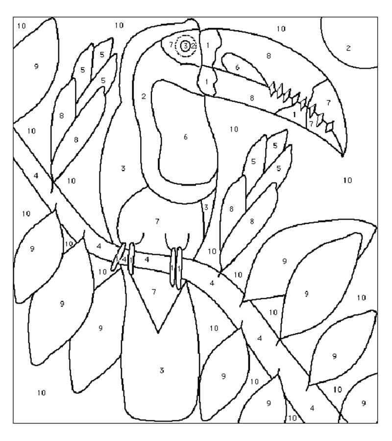 Oiseau Toucan Coloriage Magique