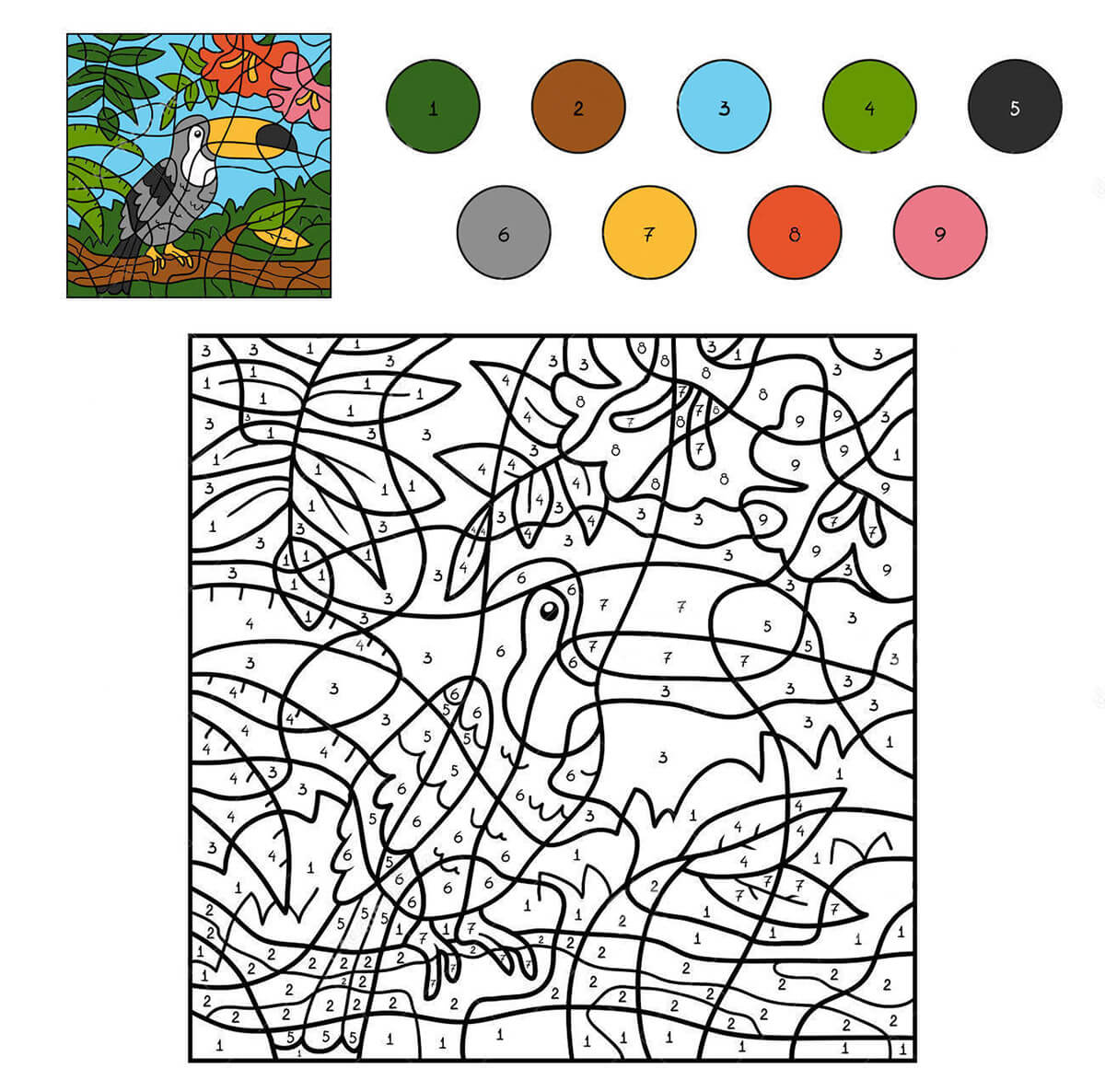 Toucan Coloriage Magique pour enfants