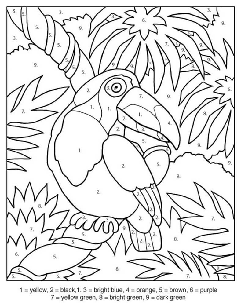 Toucan moyen Coloriage Magique