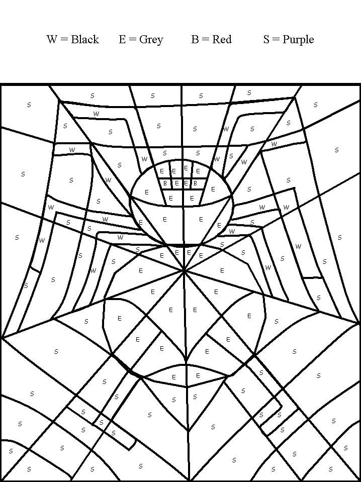 Araignée de base Coloriage Magique