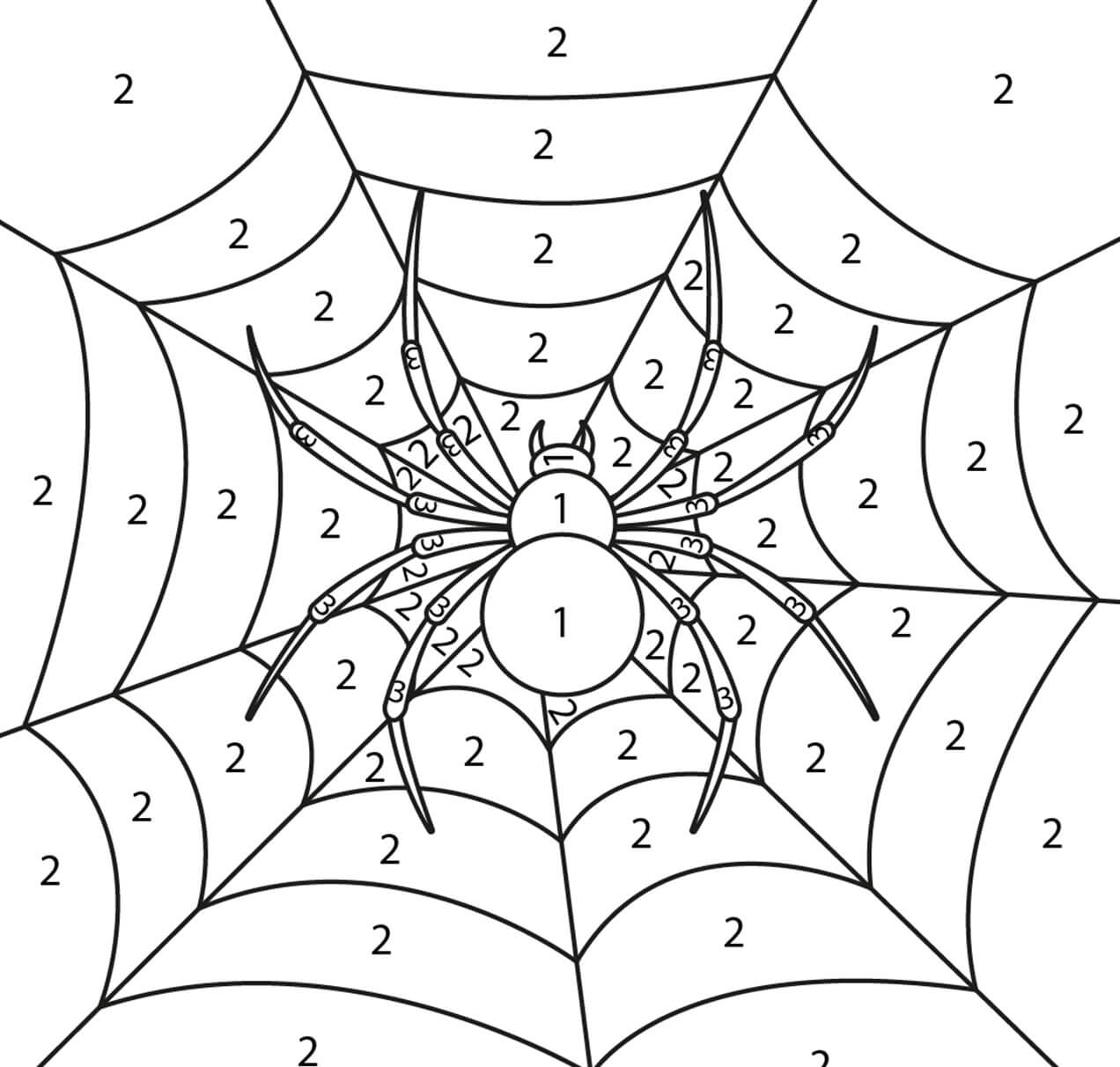 Araignée  Color By Number