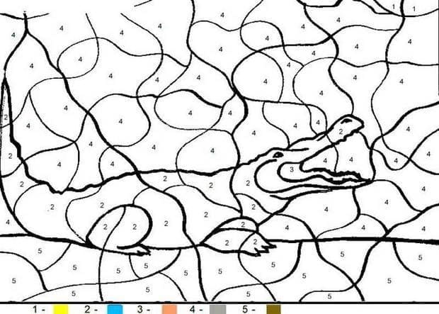 Alligator Coloriage Magique Gratuit