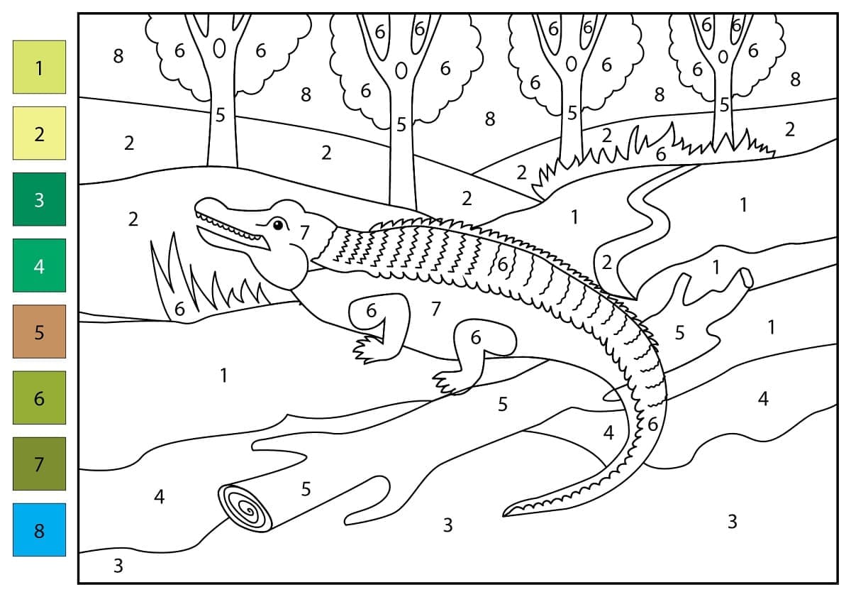 Alligator normal Coloriage Magique