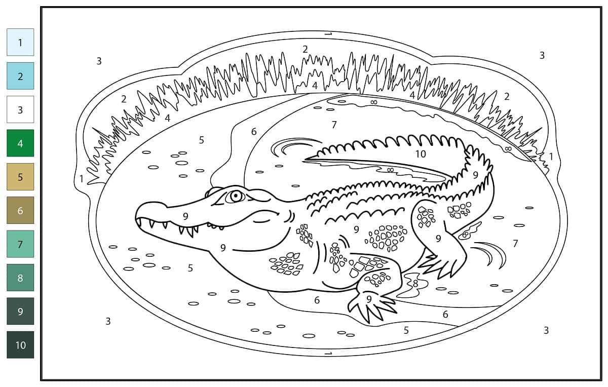 Alligator réaliste Coloriage Magique