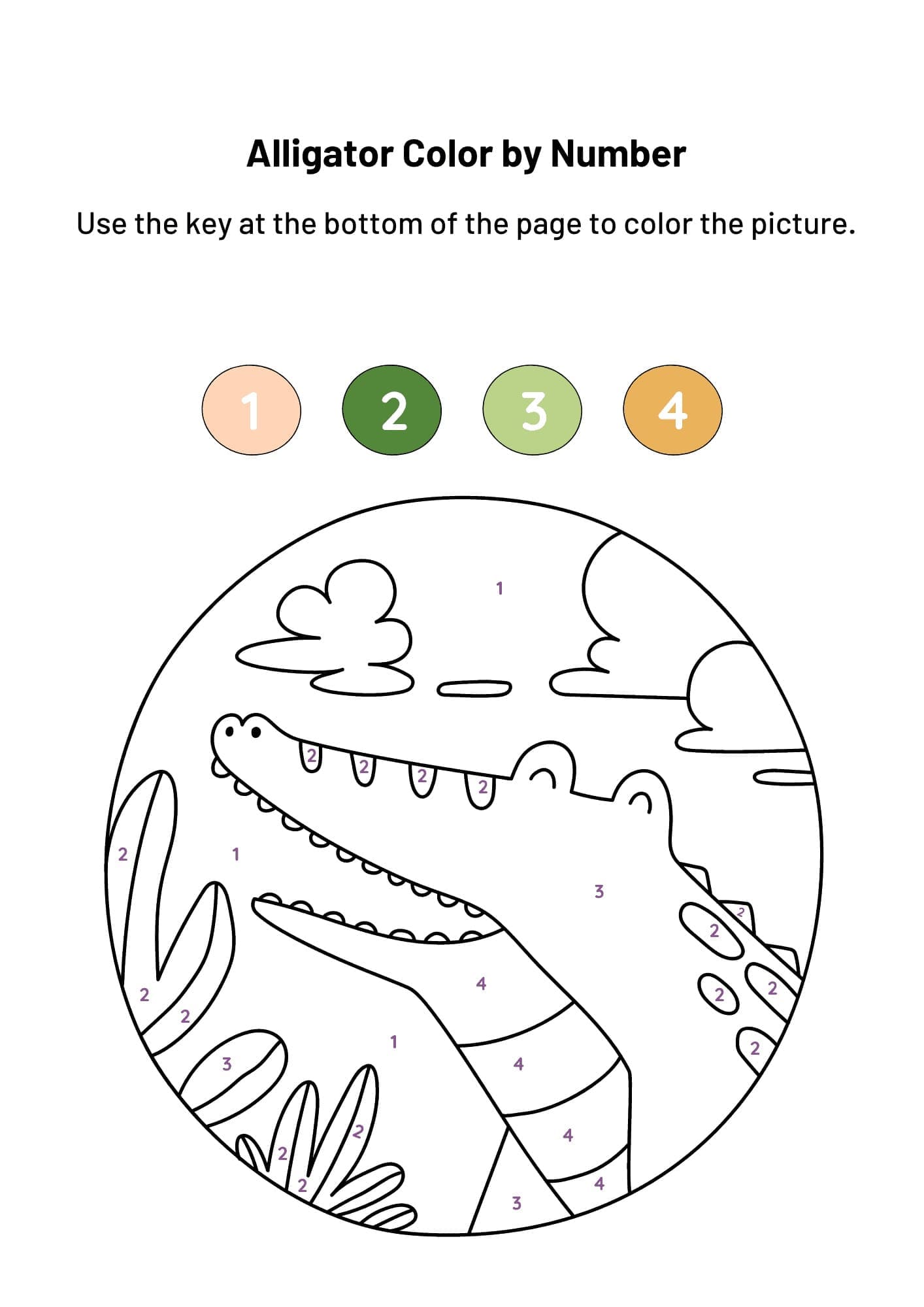 Alligator Simple Coloriage Magique