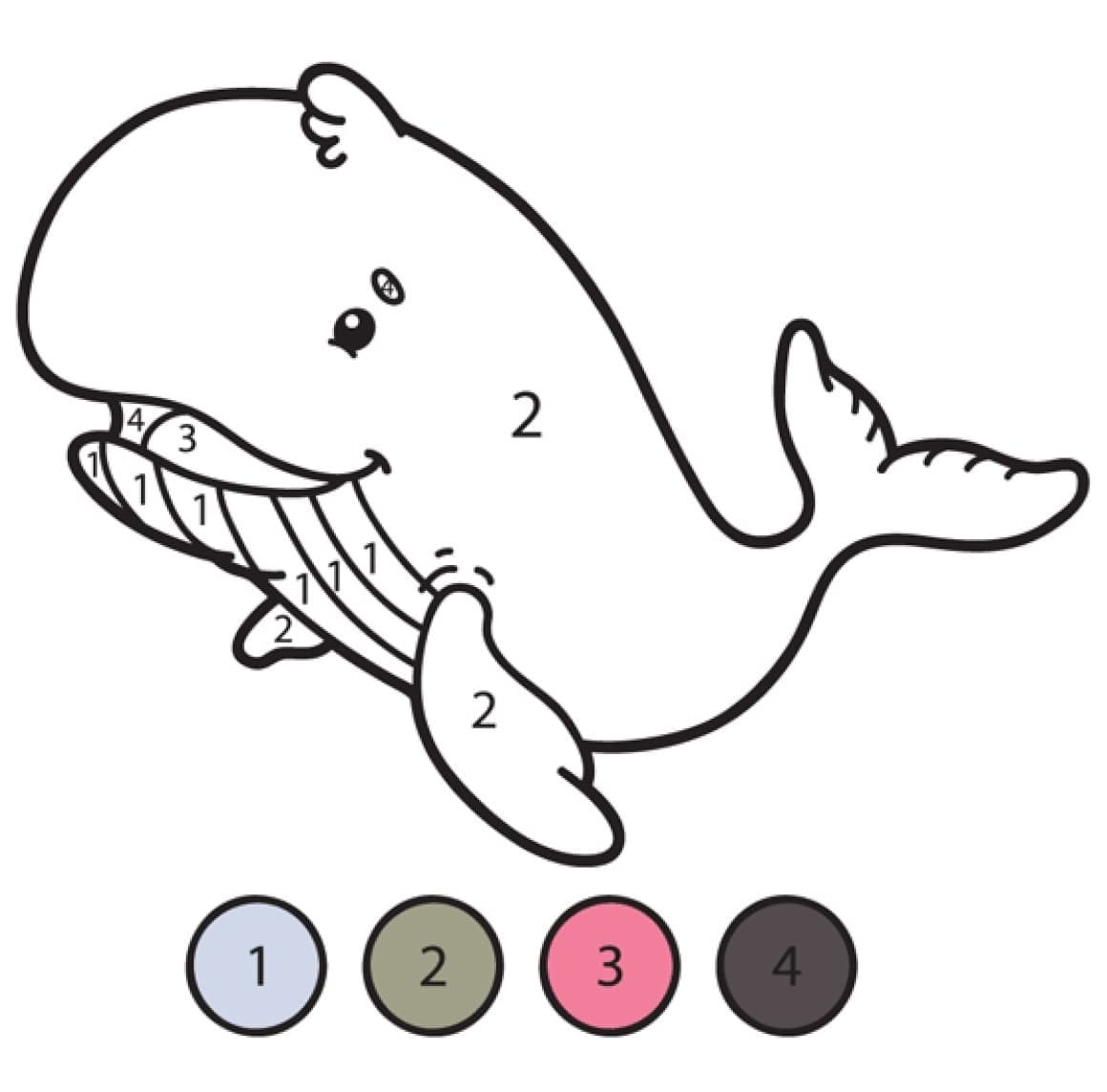 Coloriage Magique Baleine