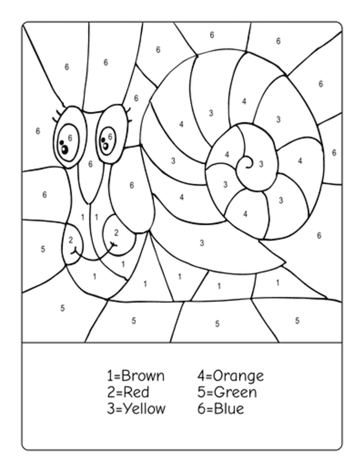 Escargot magnifique Coloriage Magique