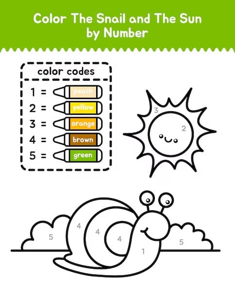 L'escargot et le soleil Coloriage Magique