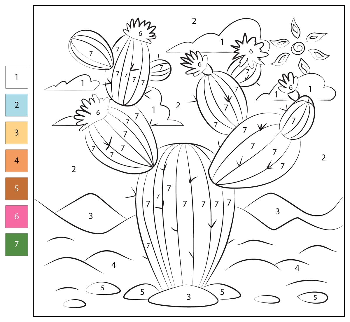 Magnifique Cactus Coloriage Magique