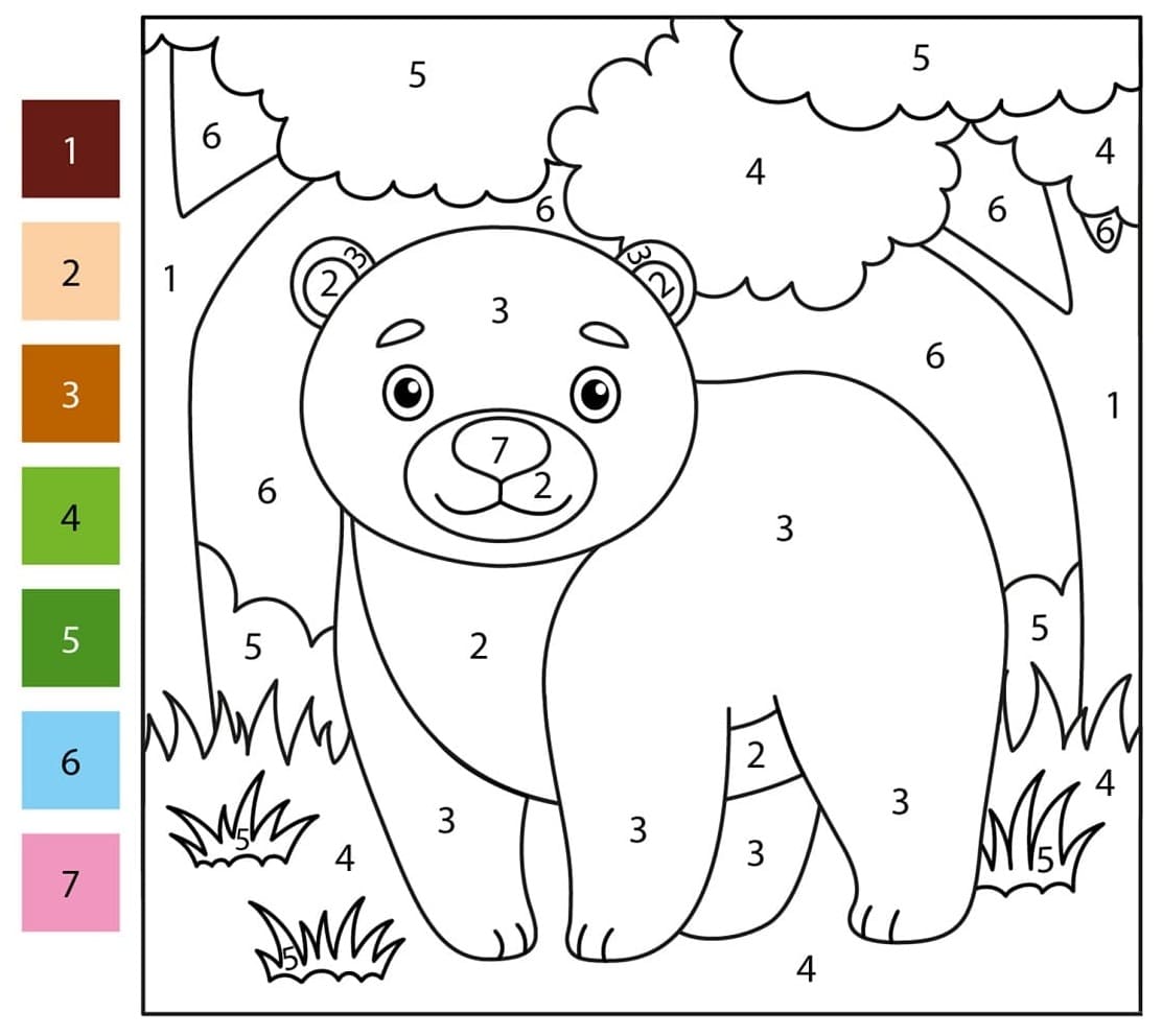 Ours de la forêt Coloriage Magique