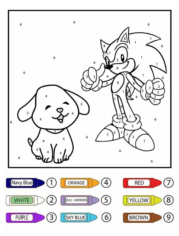 Sonic et le chien Coloriage Magique