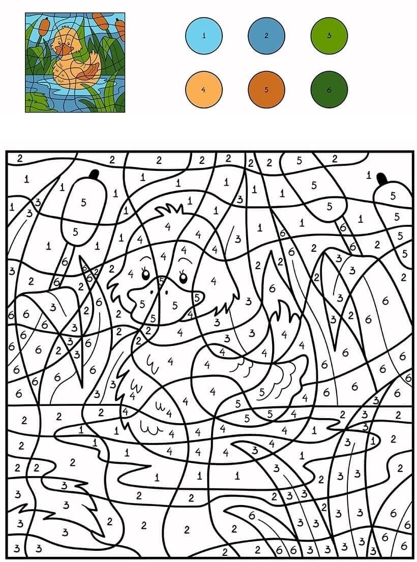 Canard sur l'étang Coloriage Magique