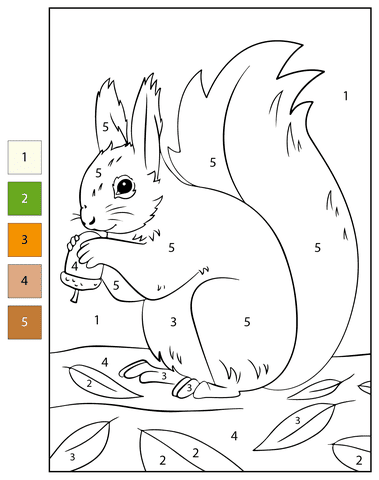 Écureuil à grosse queue Coloriage magique