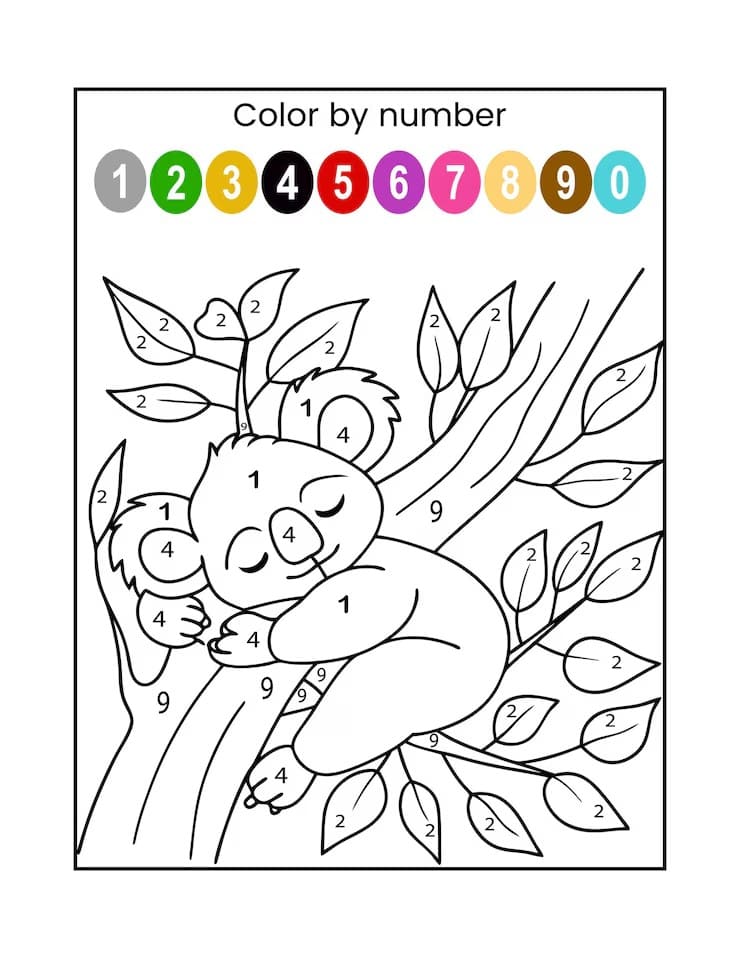 Koala endormi Coloriage Magique