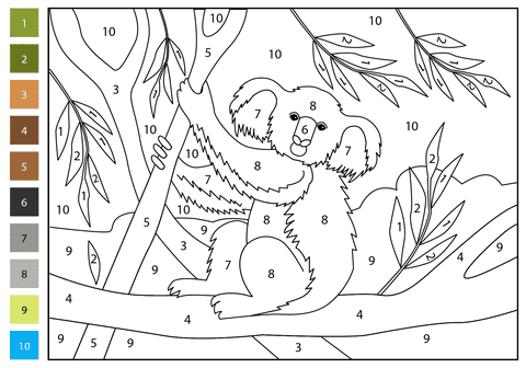 Koala sur la branche Coloriage Magique
