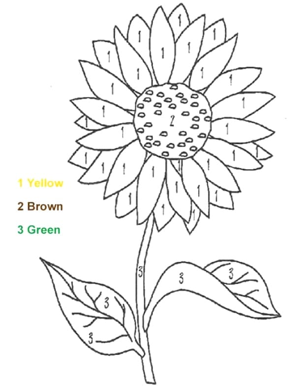 Tournesol  Color By Number