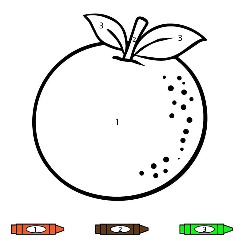 Gratuit Imprimable Orange Coloriage Magique