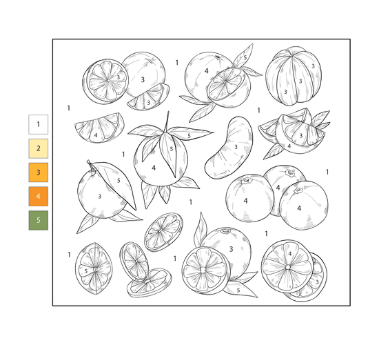 Oranges Coloriage Magique