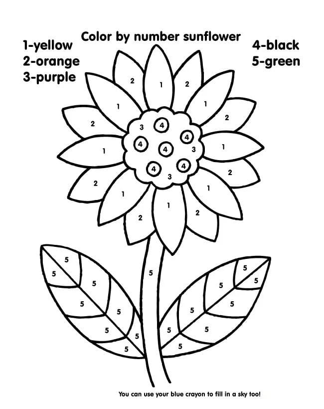 Un Tournesol Coloriage magique