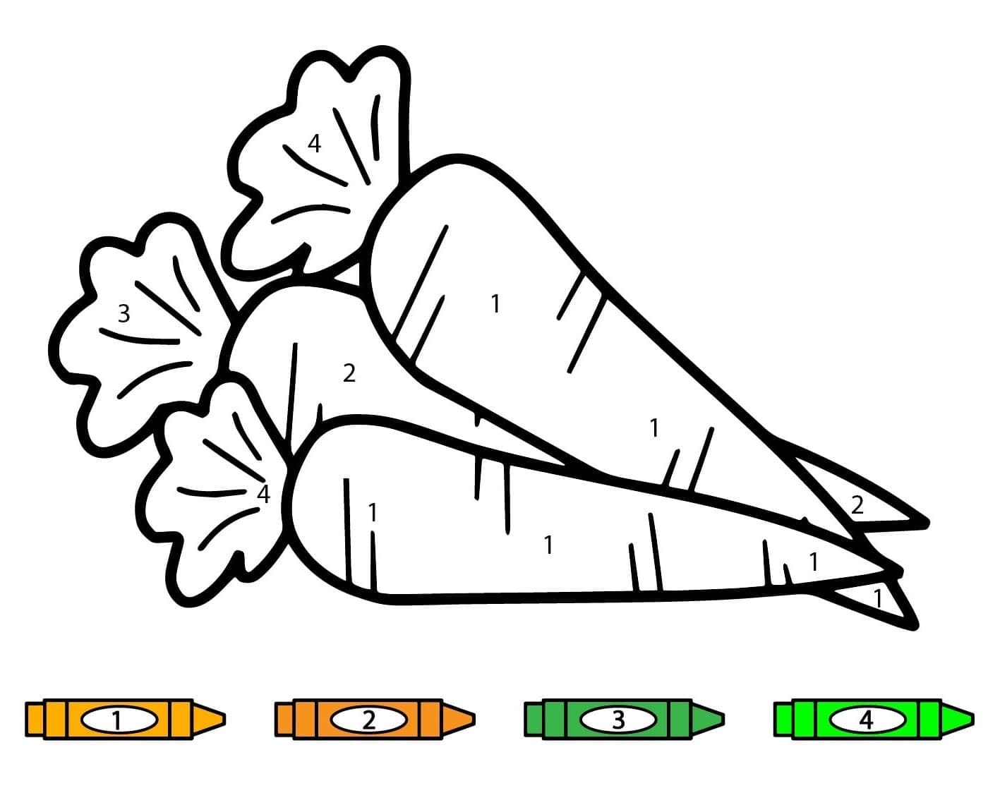 Carottes Coloriage Magique