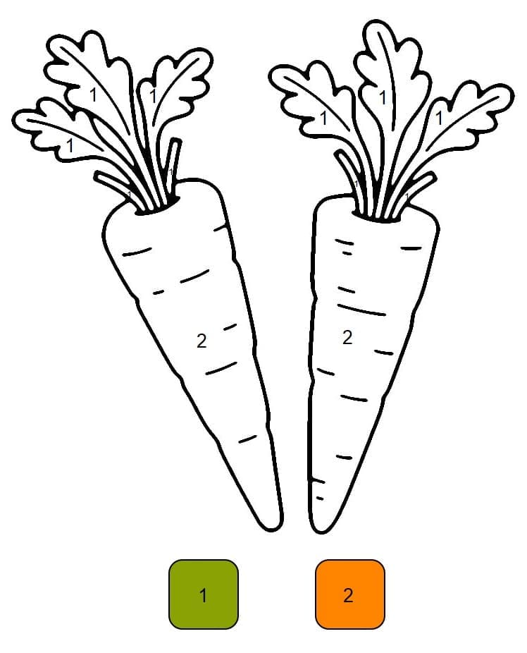 Carottes Coloriage Magique