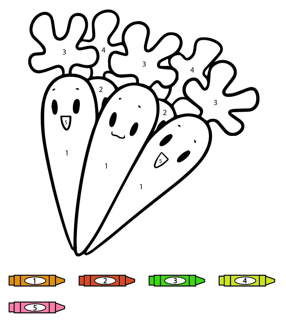 Carotte  Color By Number