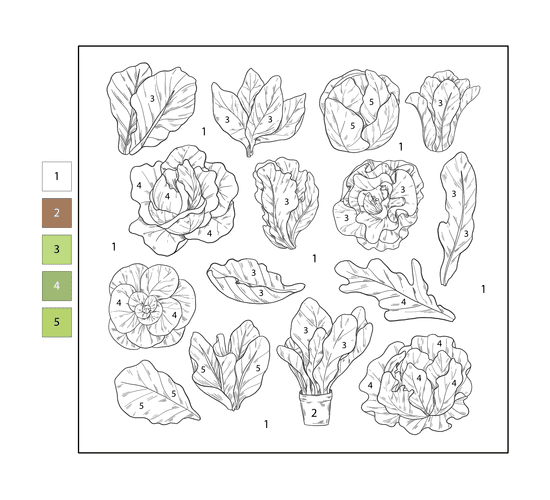 Chou Coloriage Magique