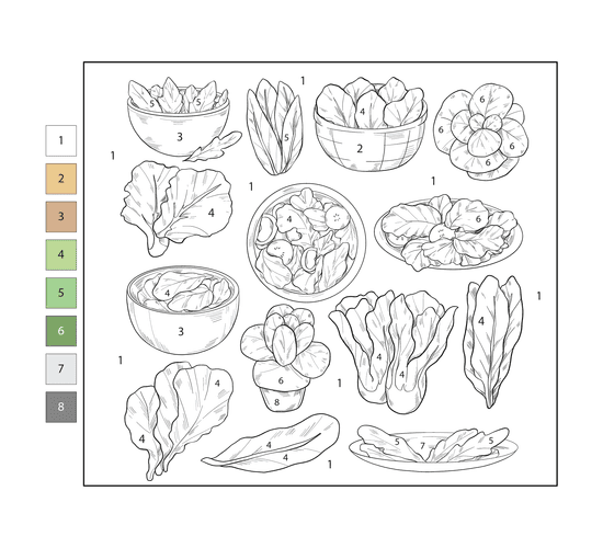 Laitue Coloriage Magique