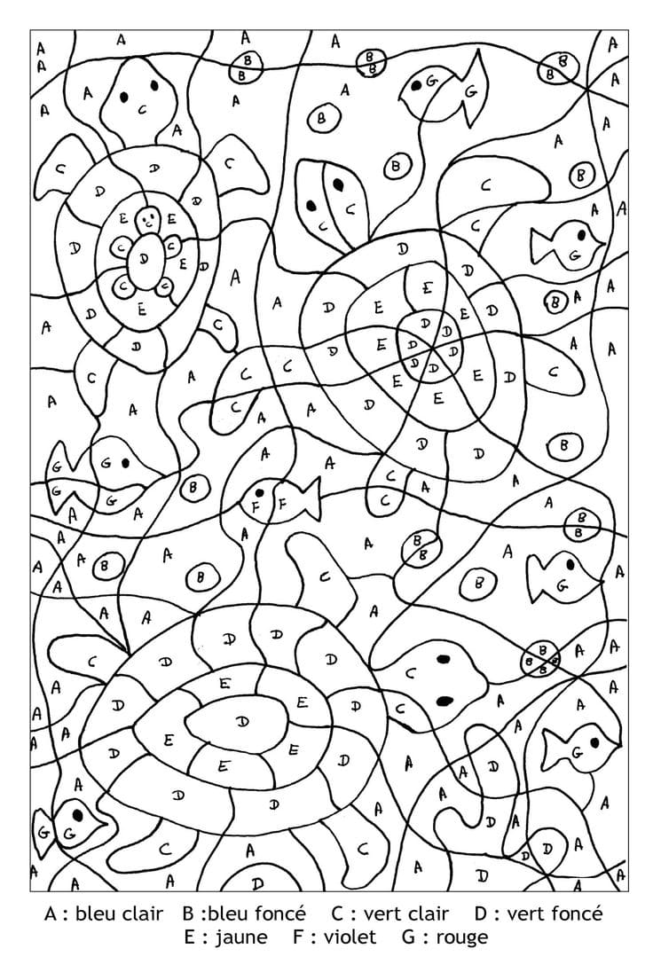 bande de tortues coloriage magique CM2