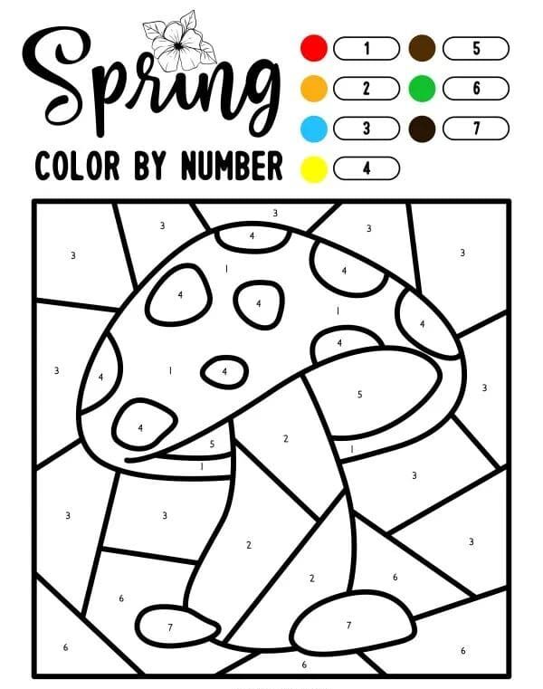 champignon coloriage magique MS