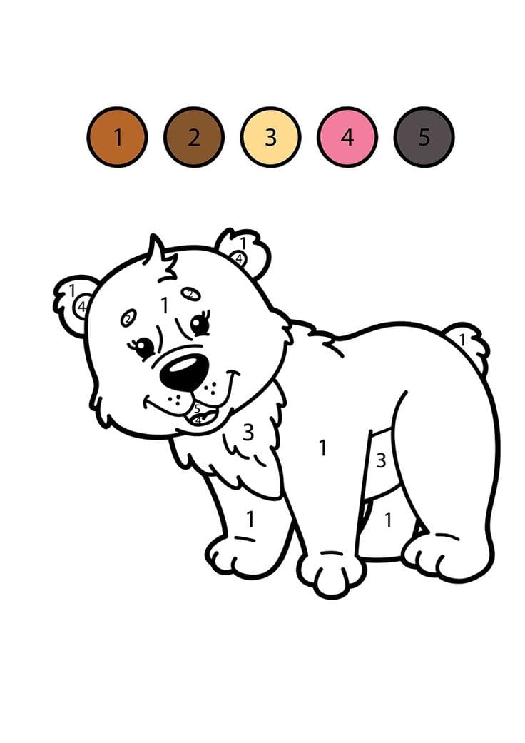 ours coloriage magique MS