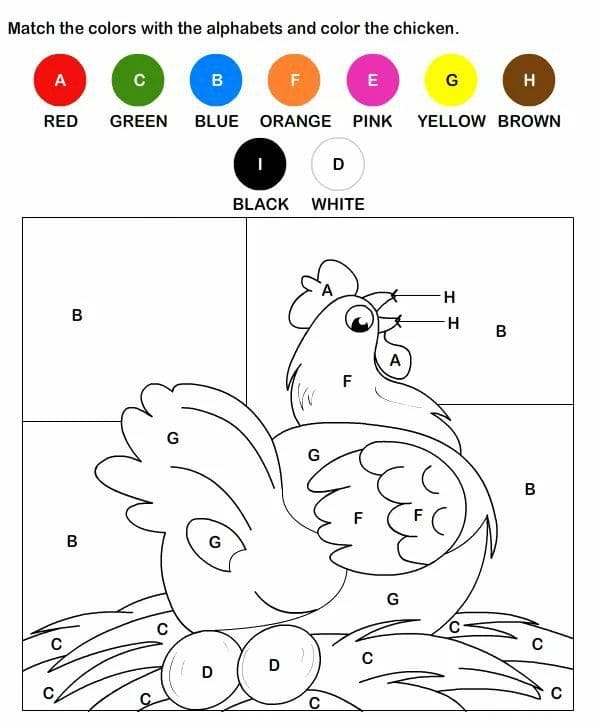 poule coloriage magique MS