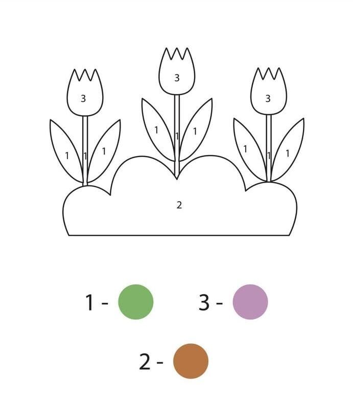 Tulipe  Color By Number