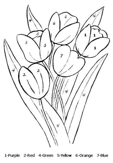 Bouquet de Tulipes Coloriage Magique