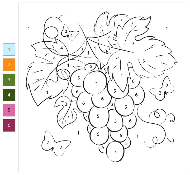 Coloriage Magique Raisins