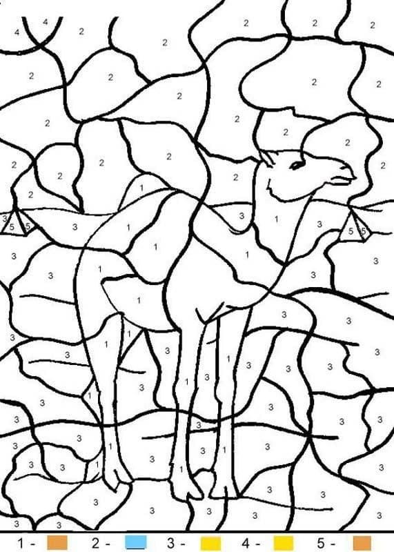 Chameau du Désert Coloriage Magique