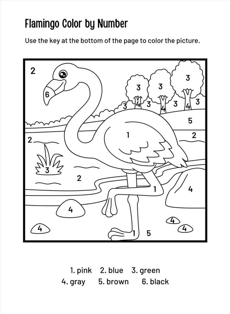 Flamant Rose Heureux Coloriage Magique