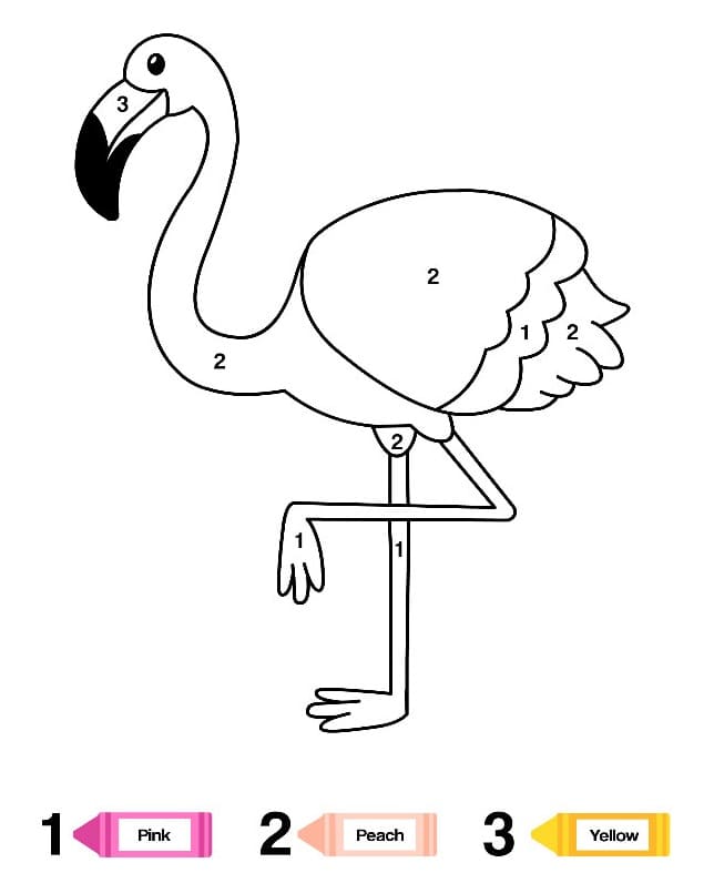 Flamant Rose Simple Coloriage Magique